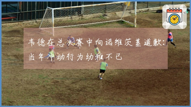 韦德在总决赛中向诺维茨基道歉：当年冲动行为幼稚不已