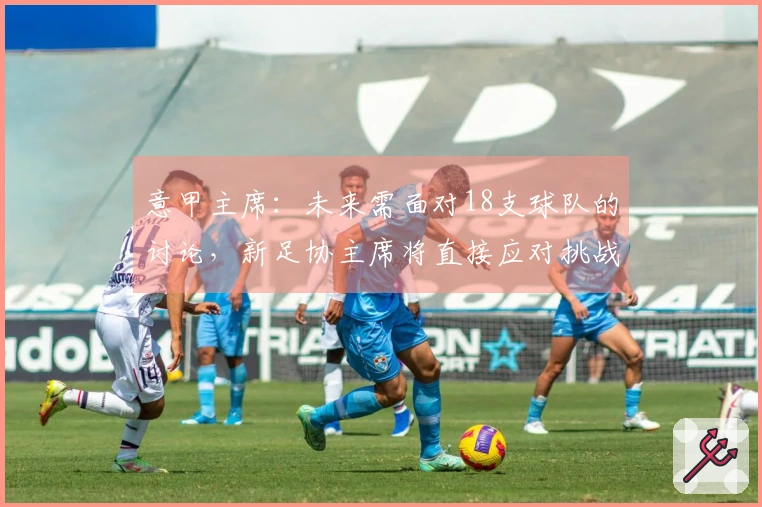 意甲主席：未来需面对18支球队的讨论，新足协主席将直接应对挑战